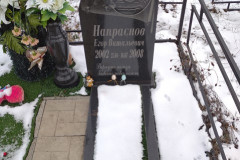 Напраснов Егор Витальевич