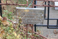 Толстошеина Валентина Серафимовна
