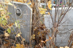 Косицкая Александра Александровна