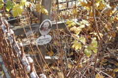 Булгаков Степан Николаевич