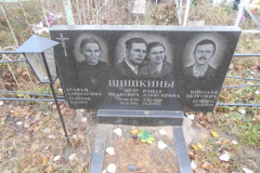 Шишкины