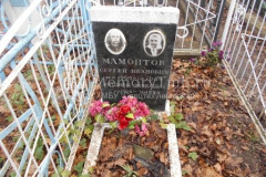 Мамонтова Антонина Яковлевна