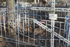 Шепелев Александр Михайлович