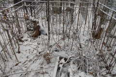 Безымянное