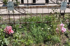 Горячева Лидия Петровна