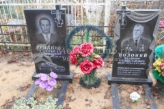 Полоний Владимир Станиславович
