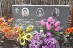 Мамонтова Лариса Васильевна
