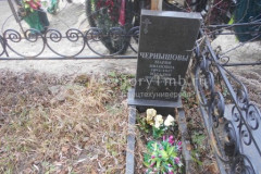 Чернышева Наталия Николаевна