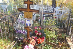 Дружинин Николай Алексеевич