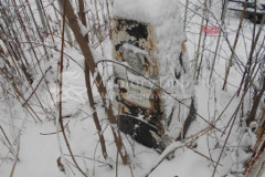 Волков Георгий Игнатьевич