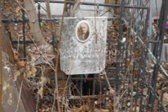 Не видно