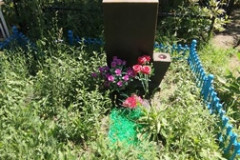 Горшкова (Россошанская) Лариса Николаевна