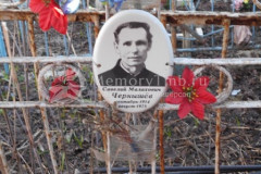 Чернышёв Савелий Малахович