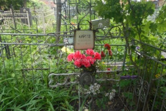 Киреев Пётр Дмитриевич