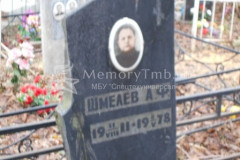 Шмелев А Ф