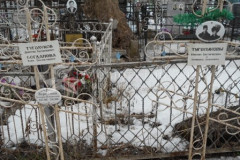 Туголукова Агрипина Ивановна