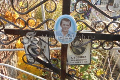 Чеботарев  Николай  Алексеевич