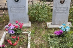 Боровиков Владимир Николаевич