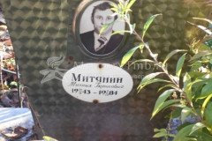 Митянин  Михаил  Барисович