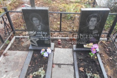 Чистова Евгения Николаевна