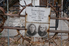 Борисов Евстигней Дмитриевич