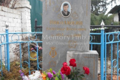Николюкин Александр Борисович