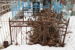 Пшеничных Дмитрий Вячеславович