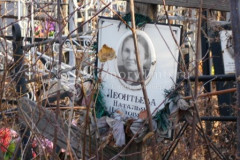 Леонтьева Наталия