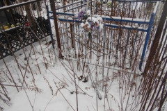 Безымянное