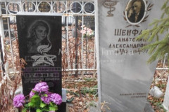 Шенфайт Анатолий Александровна