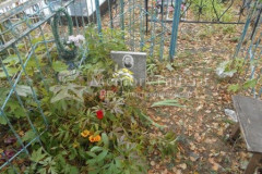 Не видно