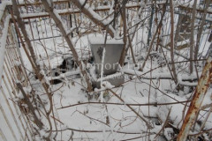 Безымянное