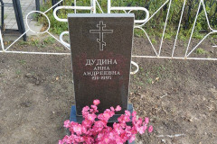 Дудина Анна Андреевна