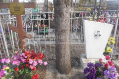 Туголуков Юрий Дмитриевич