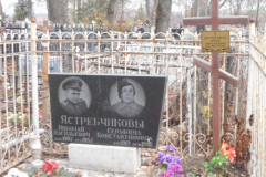 Ястребчиковы
