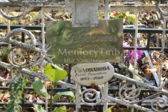 Голованова  Елена  Сазонова