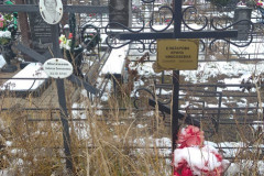 Елизарова Ирина Николаевна