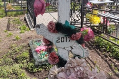 (2017) Гриднев Григорий Павлович