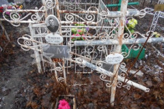 Никитин Анатолий Александрович