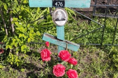 Савельева Анна Ансифоровна