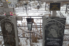 Волосевич Елена Семеновна