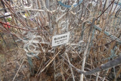 Федорова Вера Ивановна
