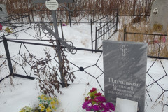 Плешаков Владимир Иванович