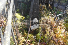 Юрлов  Александр  Иванович