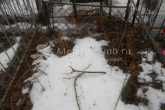 Безымянная