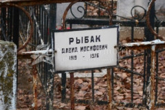Рыбак Давид Иосифович