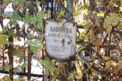 Шовина Елизавета Петровна