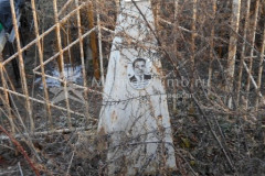 Станевич Бронислав Адимович