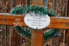 Чернова Елена Илларионовна