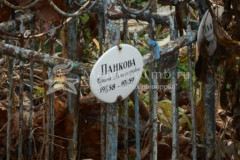Панкова Ирина Александровна
